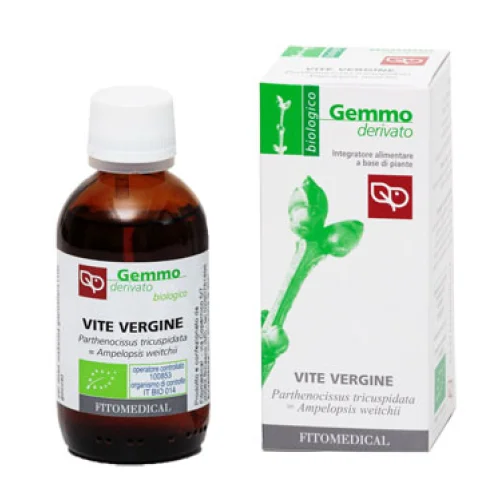 VITE VERGINE GD  50ML BIO