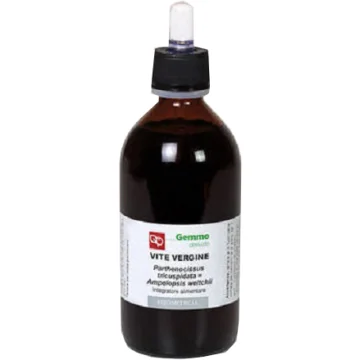 VITE VERGINE GD 200ML BIO
