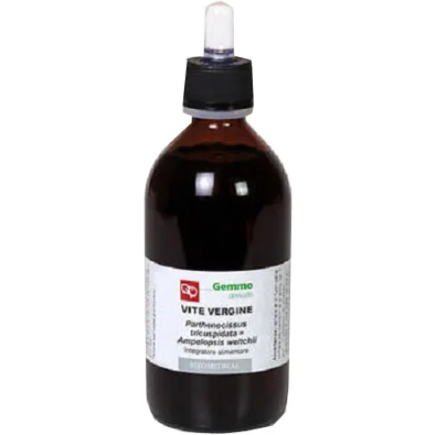 VITE VERGINE GD 200ML BIO