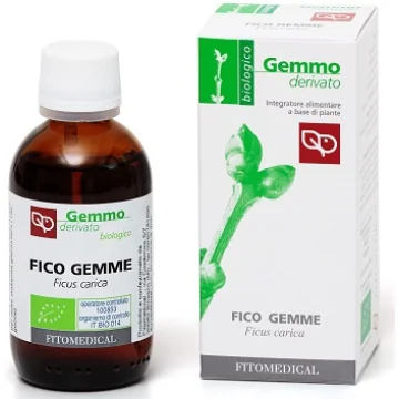FICO GEMME GD  50ML BIO