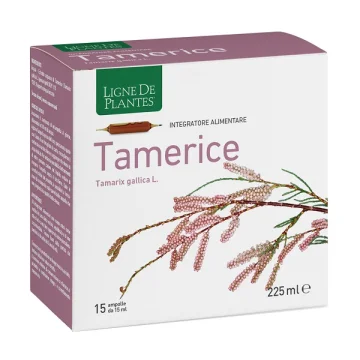 TAMERICE 15AMPOLLE