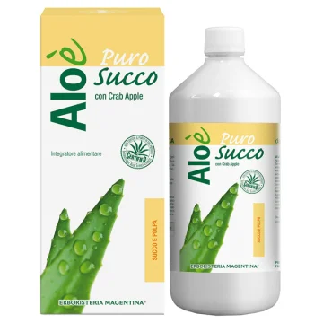 ALOE' ALOE SUCCO E POLPA BIO1L