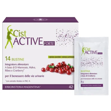 CIST ACTIVE BUSTINE 14BUST