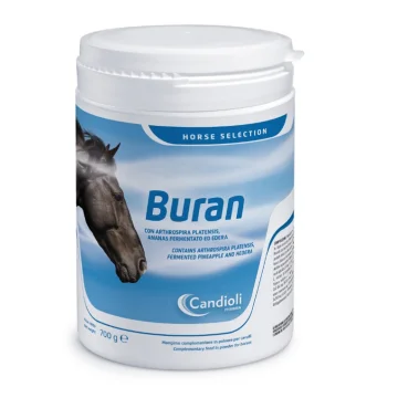 BURAN 700 GR
