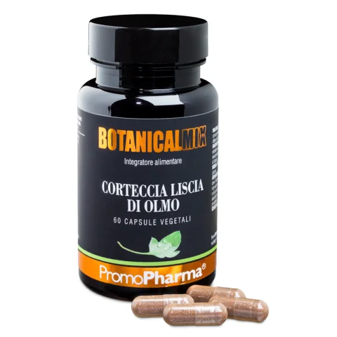 BOTANICAL MIX CORTECCIA LI OLM BOTANICAL MIX CORTECCIA LI OLM