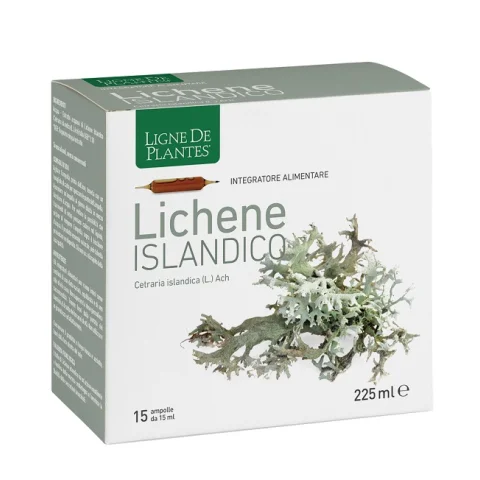LICHENE ISLANDICO 15AMPX15ML LICHENE ISLANDICO 15AMPX15ML