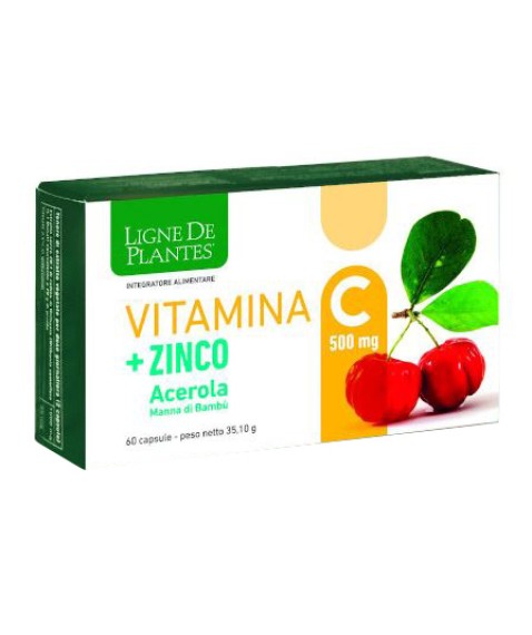 VITAMINA C 500MG+ZI/AC/BA60CPS