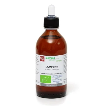 LAMPONE GD 200ML BIO