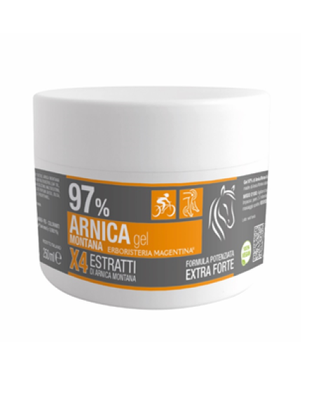 ARNICA 97% GEL 250ML ERB MAGENTI