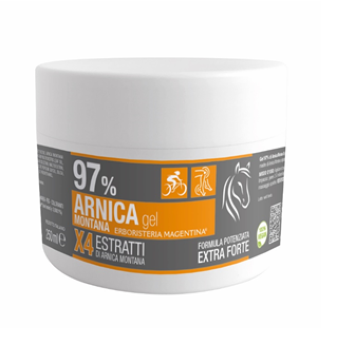 ARNICA 97% GEL 250ML ERB MAGENTI