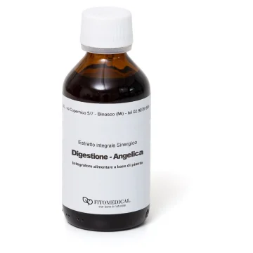 ANGELICA DIGESTIONE EIS 100ML