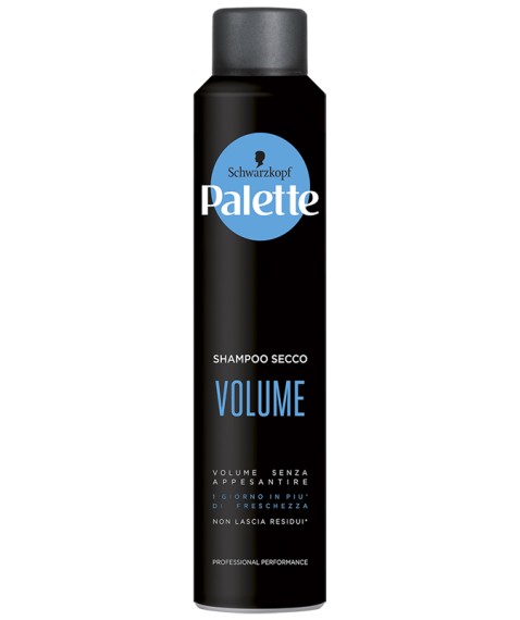 PALETTE DRY SHAMPOO VOLUME 200 ML