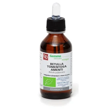 BETULLA TOMENT AMENTI GD 100ML BIO