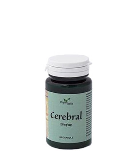 CEREBRAL AYURVED 60CPS