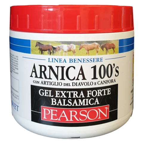 ARNICA 100 S EXTRA FORTE BALSA ARNICA 100 S EXTRA FORTE BALSA
