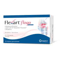 FLEXART Flogo 20 Cpr
