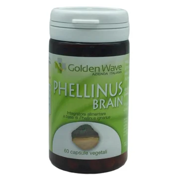 PHELLINUS BRAIN 60CPS VEGETALI