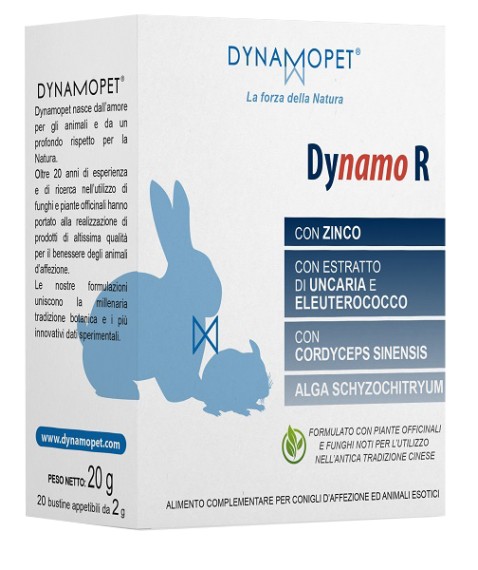 DYNAMO R 20BUST 2G