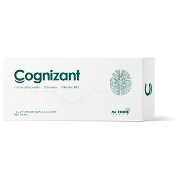 COGNIZANT 10FL.
