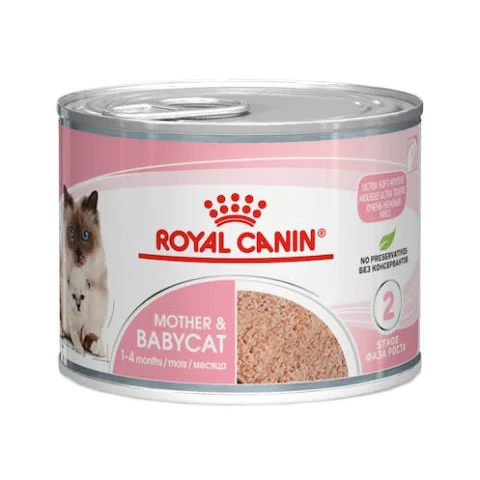 FELINE HN BABYCAT INSTI 10 195 FELINE HN BABYCAT INSTI 10 195