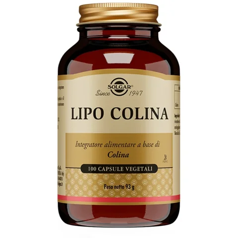 LIPO COLINA 100 Cps 100mgSOLGA LIPO COLINA 100 Cps 100mgSOLGA