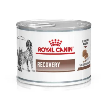 VD WET DOG&CAT RECOVERY 195G