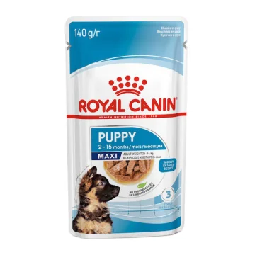 ROYAL CANIN CANE MAXI PUPPY 140GR (bustina)