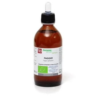 FAGGIO GD 200ML BIO