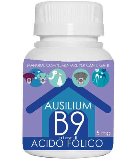 AUSILIUM B9 ACIDO FOLIC 100G VET