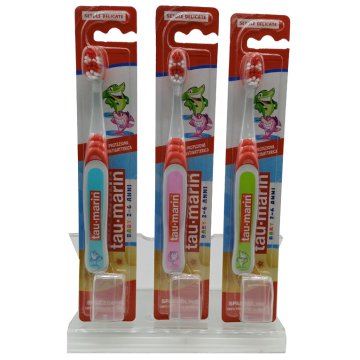 Tau Marin Spazzolino Bb Antiba