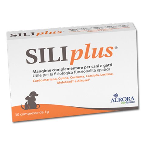 SILIPLUS 30 Cpr 1g SILIPLUS 30 Cpr 1g