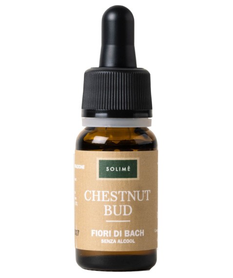 CHESTNUT BUD 10ML