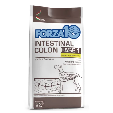 FORZA10 CANE FASE 1 INTESTINAL COLON AGNELLO SORGO BIANCO 1,5KG