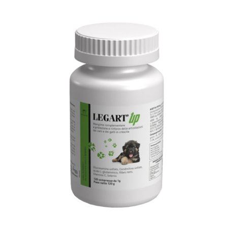 LEGART UP 120CPR VET LEGART UP 120CPR VET