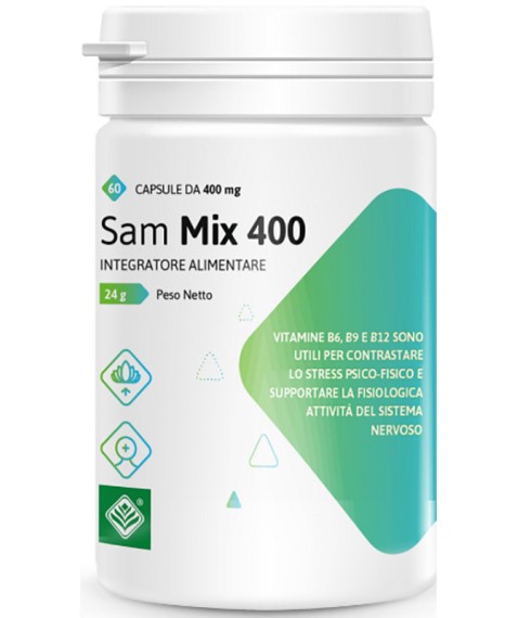 SAM MIX 400 60CPS