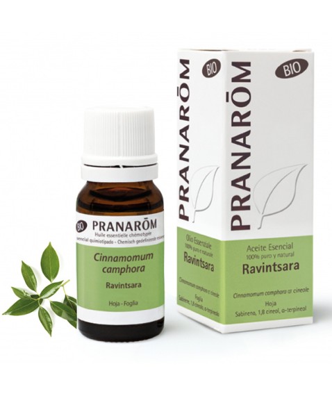 PRANAROM OE Ravintsara 10ml