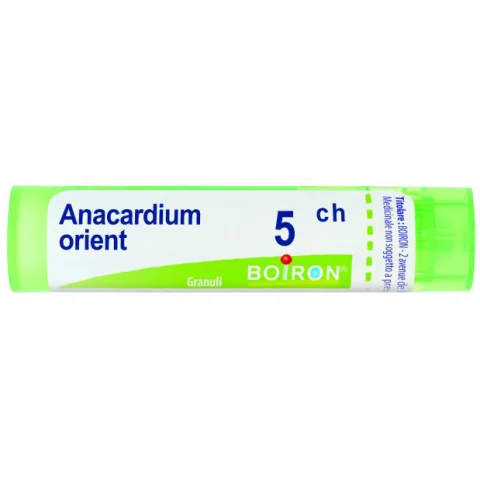 Anacardium Orient 5ch Gr