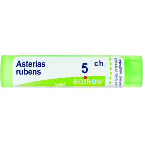 BO.ASTERIAS RUBENS 5CH TUBO BO.ASTERIAS RUBENS 5CH TUBO