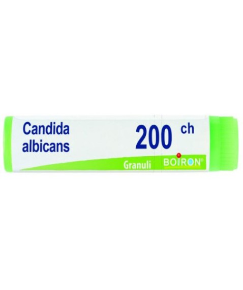 CANDIDA ALBICAN 200CH GL BO