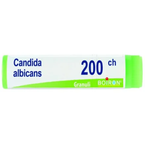 CANDIDA ALBICAN 200CH GL BO