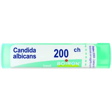 CANDIDA ALBICANS 200CH GR BO