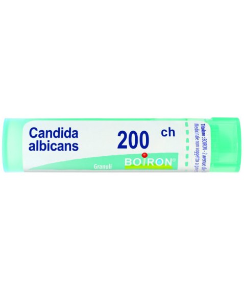 CANDIDA ALBICANS 200CH GR BO