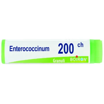 ENTEROCOCCINUM 200CH GL BO