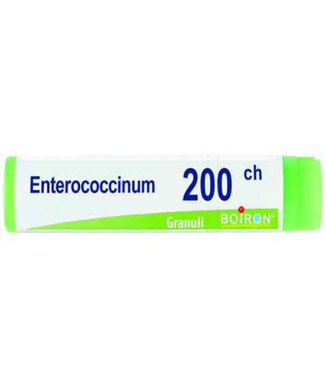 ENTEROCOCCINUM 200CH GL BO