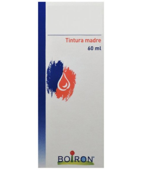 BO.HYPERICUM PER. TM 60ml