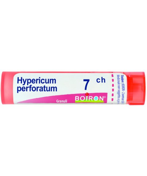 HYPERICUM PERFOR 7CH GR