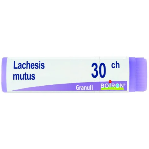 BO.LACHESIS MUTUS 30CH DOSE BO.LACHESIS MUTUS 30CH DOSE
