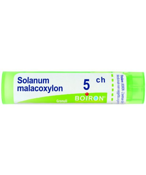 SOLANUM MALACOXILON 5CH GR