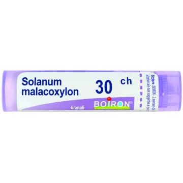 SOLANUM MALACOXYLON*GRAN 30CH