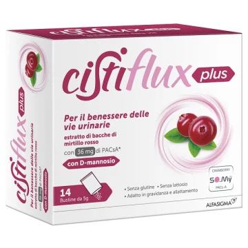 CISTIFLUX A Plus 36+D 14*Buste
